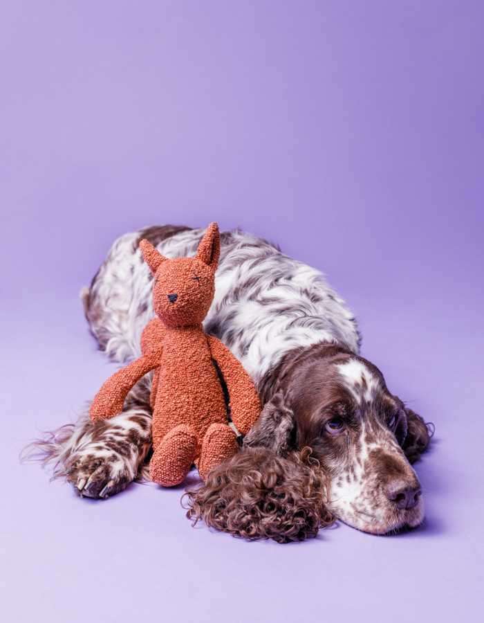 Purple squirrel dog toy hotsell